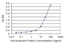 Anti-MGRN1 Antibody Pair