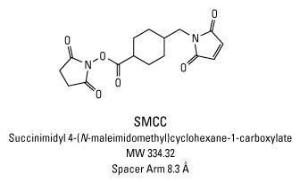 SMCC (N-Succinimidyl 4-(N-Maleimidomethyl)cyclohexanecarboxylate), Pierce™