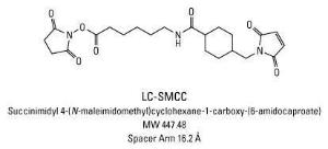 LC-SMCC (N-Succinimidyl 6-[[4-(N-Maleimidomethyl)cyclohexyl]carboxamido]hexanoate), Pierce™