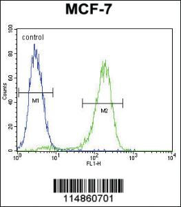 Anti-RARS Rabbit Polyclonal Antibody