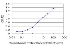 Anti-B4GALNT1 Mouse Monoclonal Antibody [clone: 5F9]