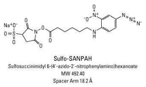 Sulpho-SANPAH (Sulphosuccinimidyl-6-(4′-azido-2′-nitrophenylamino)hexanoate), Pierce™