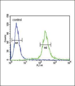 Anti-ADCYAP1 Rabbit Polyclonal Antibody (AP (Alkaline Phosphatase))