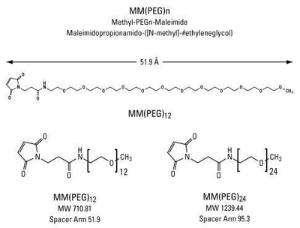 Pegylation reagents, Methyl-PEG-NHS-Maleimide, Pierce™