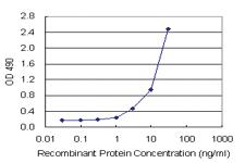 Anti-CEACAM1 Mouse Monoclonal Antibody (Biotin)