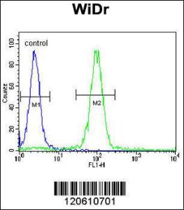 Anti-MEIS2 Rabbit Polyclonal Antibody (Biotin)