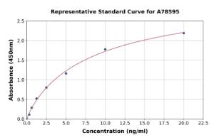 Representative standard curve for Human P4HB ELISA kit (A78595)