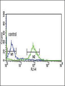 Anti-ECI1 Rabbit Polyclonal Antibody (AP (Alkaline Phosphatase))