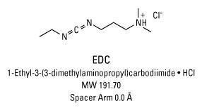 N'-(Éthylcarboneimidoyl)-N,N-diméthylpropane-1,3-diamine monochlorhydrate, No-Weigh™ Format, Pierce™