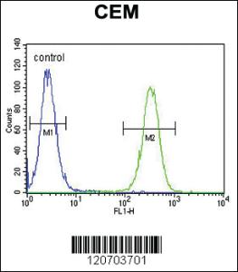 Anti-INHBA Rabbit Polyclonal Antibody