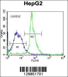 Anti-KRTAP1-3 Rabbit Polyclonal Antibody (HRP (Horseradish Peroxidase))