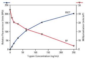 Pierce™ Protease Assay Kits, Colorimetric and Fluorometric