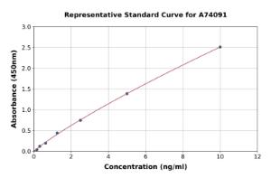 Representative standard curve for Rat Cytokeratin 18 ELISA kit (A74091)