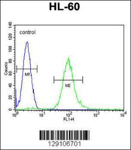 Anti-METTL10 Rabbit Polyclonal Antibody