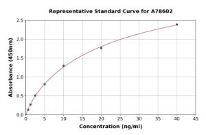 Representative standard curve for Human PDXP ELISA kit (A78602)