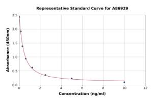 Representative standard curve for 5-HETE ELISA kit (A86929)