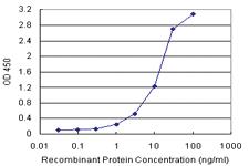 Anti-RCC1 Polyclonal Antibody Pair