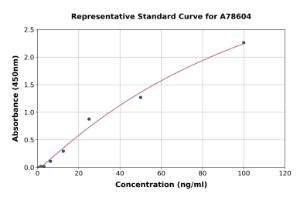 Representative standard curve for Rat CD31 ELISA kit (A78604)