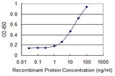 Anti-CAV3 Mouse Monoclonal Antibody [clone: 1B9]