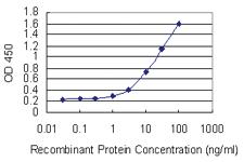 Anti-RBP5 Mouse Monoclonal Antibody [clone: 4B5]