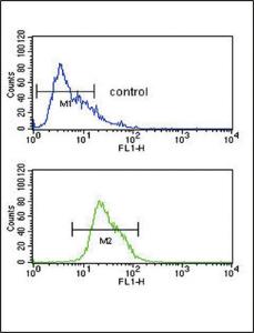 Anti-ADH1C Rabbit Polyclonal Antibody (AP (Alkaline Phosphatase))