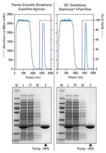 Affinity chromatography media, glutathione superflow agarose, pierce™