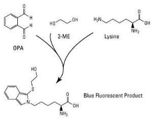 Derivatisation reagent, Fluoraldehyde™ o-phthaldialdehyde, Pierce™