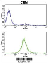 Anti-PSMD7 Rabbit Polyclonal Antibody