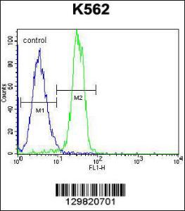 Anti-STARD6 Rabbit Polyclonal Antibody (FITC (Fluorescein Isothiocyanate))