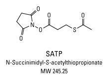 SATA (N-Succinimidyl S-Acetylthioglycolate), Pierce™