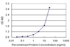 Anti-SH2D3C Polyclonal Antibody Pair