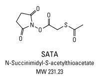 SATA (N-Succinimidyl S-Acetylthioglycolate), Pierce™