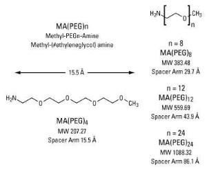 Pegylation reagents, methyl-PEG-amine compounds