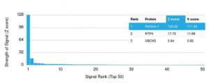 Analysis of protein array containing more than 19,000 full-length human proteins using Anti-Perforin Antibody [PRF1/2467] Z-Score and S- Score