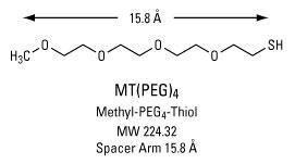 Pegylation reagent, MT(PEG)₄<sub> </sub>methyl-PEG-thiol compound