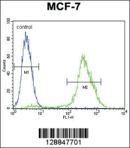 Anti-PMPCA Rabbit Polyclonal Antibody