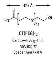 Pegylation reagent, CT(PEG)₁₂<sub> </sub>carboxy-PEG-thiol compound