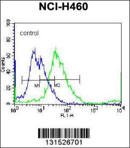 Anti-YI016 Rabbit Polyclonal Antibody