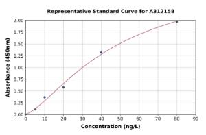 Representative standard curve for Human IL-36 beta/IL-1F8 ELISA kit (A312158)