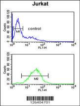 Anti-MFRN2 Rabbit Polyclonal Antibody (APC (Allophycocyanin))