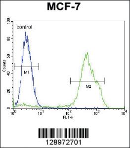 Anti-RNF19B Rabbit Polyclonal Antibody