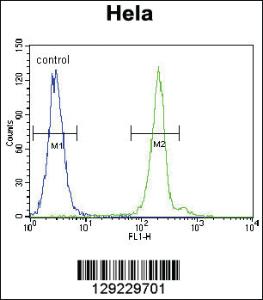 Anti-ATG7 Rabbit Polyclonal Antibody