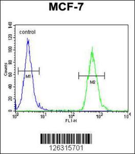 Anti-TTPAL Rabbit Polyclonal Antibody (FITC (Fluorescein Isothiocyanate))