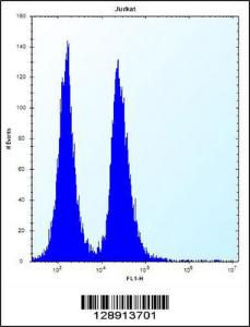 Anti-KRTAP13-3 Rabbit Polyclonal Antibody (FITC (Fluorescein Isothiocyanate))