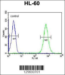 Anti-MILK2 Rabbit Polyclonal Antibody (AP (Alkaline Phosphatase))