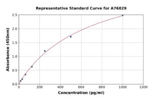 Representative standard curve for Human IRF5 ELISA kit (A76829)