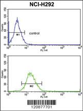 Anti-PDIA3 Rabbit Polyclonal Antibody