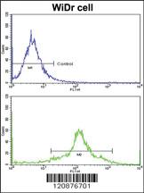 Anti-PDIA3 Rabbit Polyclonal Antibody