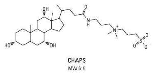 3-[(3-Cholamidopropyl)diméthylammonio]-1-propane sulfate (CHAPS)