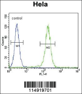 Anti-LARS Rabbit Polyclonal Antibody [clone: 87CT59.3.7]